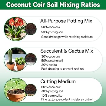 coco✴︎ Amazon.com : ZeeDix 8 Pack Coco Coir Brick (11.2lbs), 100