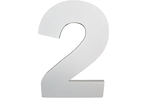 Large 24" Styrofoam Number 2