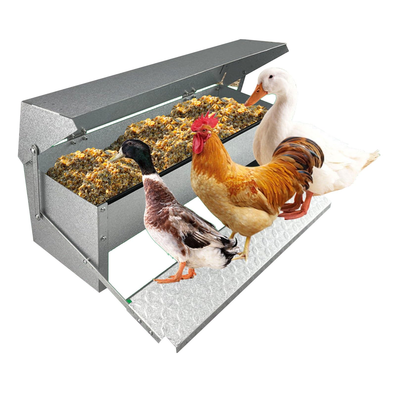 Mangiatoia A Pedale Zincata Per Polli, Alimentatore Automatico Auto-aprrente, Anti-spreco E Anti-roditori, Coperchio Resistente Alle Intemperie Per Pollaio