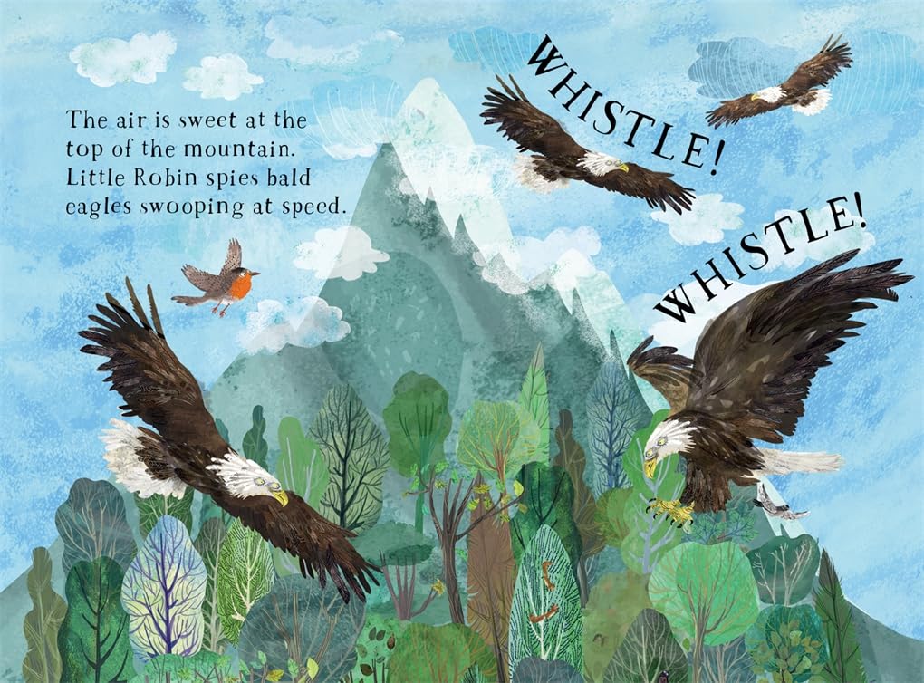 Little Robin's Book of Birds: 16