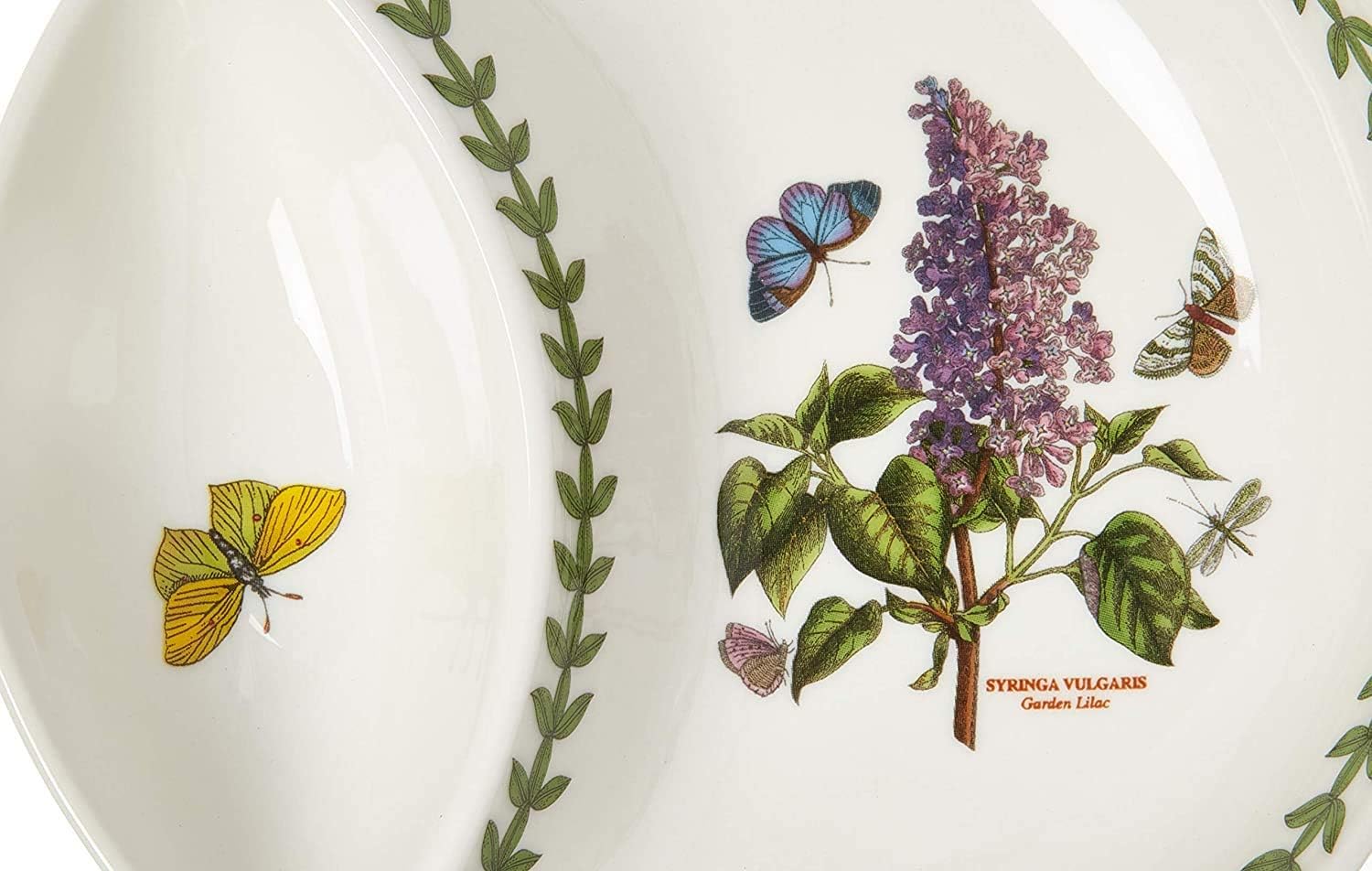Tесh Dеаlѕ 🔥 Portmeirion Botanic Garden Collection Divided Dish - Dishwasher, Microwave, Freezer Safe and Oven Safe on WARM ONLY - Made in England