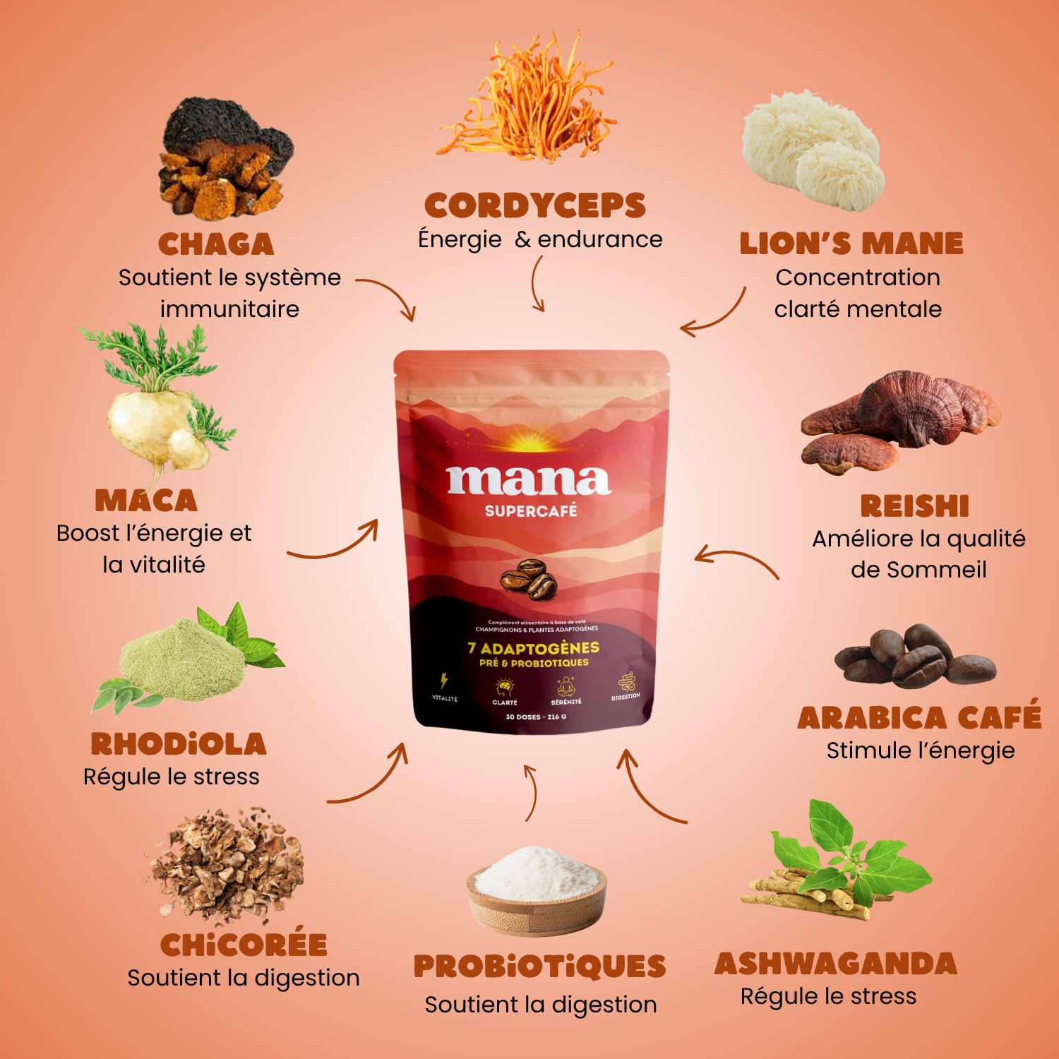 Café Adaptogène aux Champignons | Énergie sans Crash | Lion's Mane, Reishi, Ashwagandha, Cordyceps, Chaga, Rhodiola, Maca | Probiotiques | Poudre 216g 30 Doses | Mana Supercafé