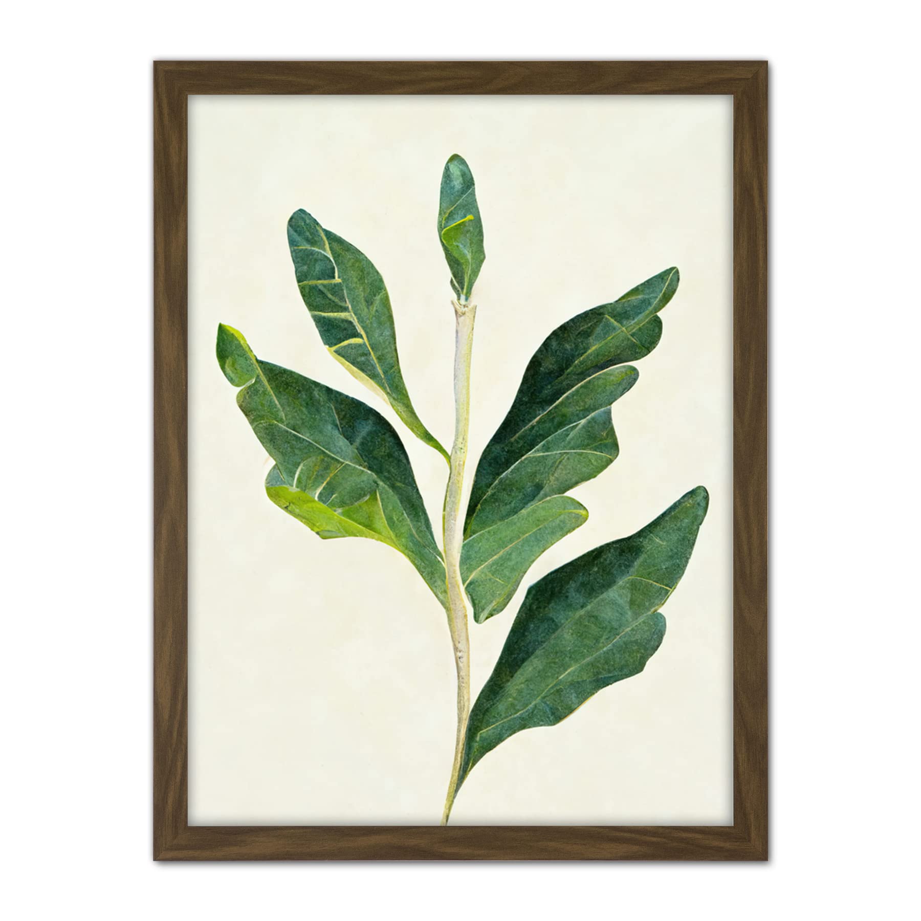 Doppelganger33 LTD Detail of Rubber Fig Plant Botanical Illustration Artwork Framed Wall Art Print 18X24 inch