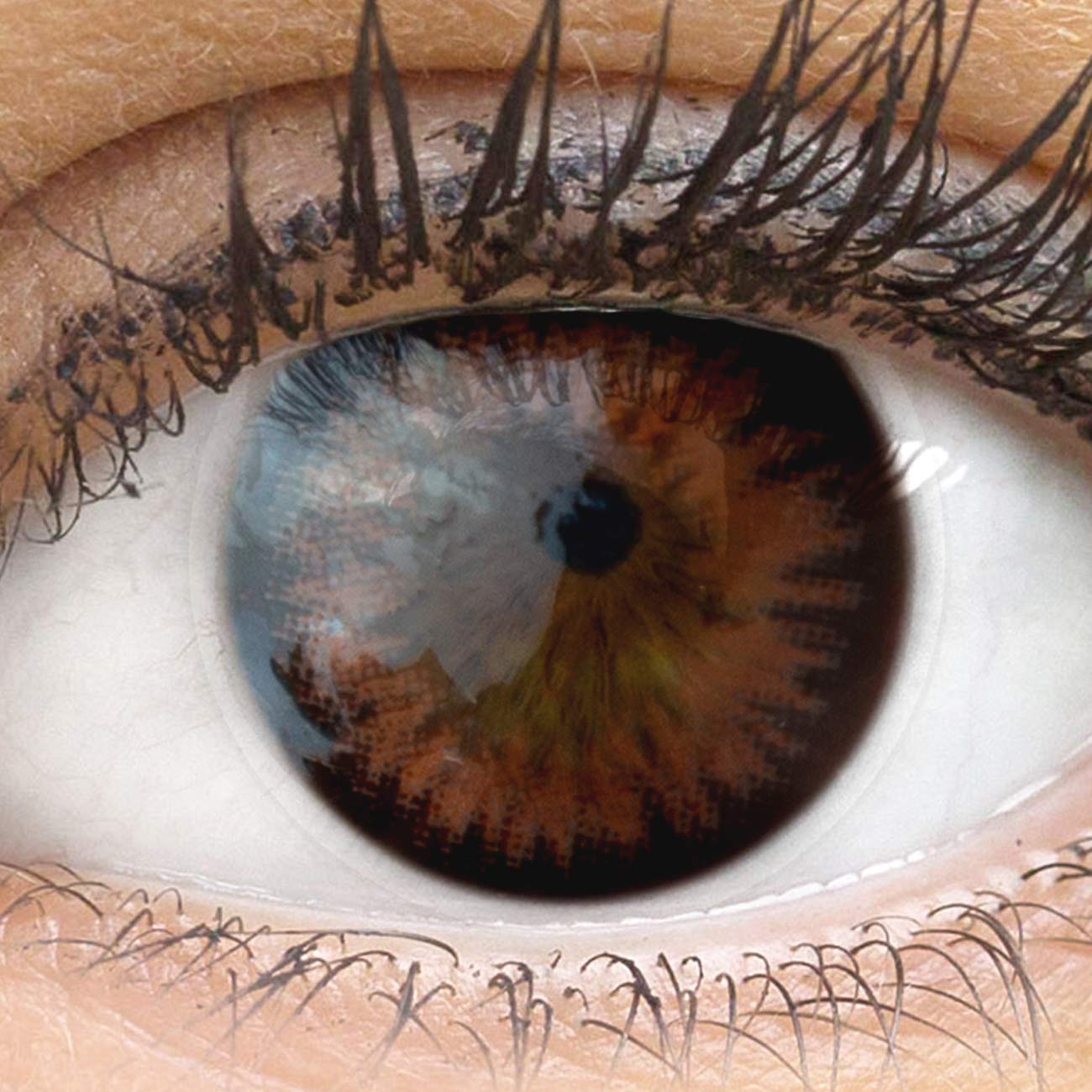 GLAMLENS lentillas de color marrones "Siena Choco" + contenedor. 1 par (2 piezas) - 90 Días - Sin Graduación - 0.00 dioptrías - blandos - Lentes de contacto marrón de hidrogel de silicona