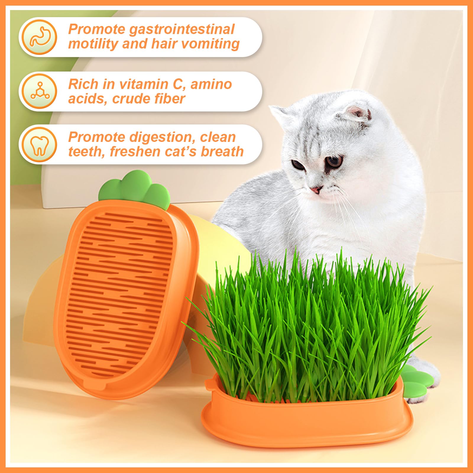 Hierba Para Gatos Kit De Hierba Gatera Semillas 140g Para Gatos