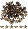 Honbay 100PCS 15mm Nailheads Star Punk Rivets DIY Metal Studs for Purse Handbag Backpack Jeans Jacket Clothes Belt Collars Shoes Hats Bronze
