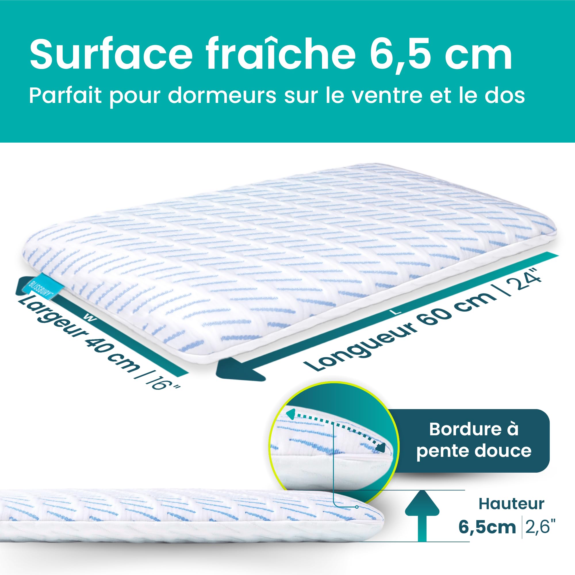 BLISSBURY Oreiller rafraîchissant en Mousse à mémoire de Forme – 6,6 cm d'épaisseur – pour Les dormeurs sur Le Ventre et Le Dos – Grand lit – Housse Amovible Cool-Tech certifié CertiPUR-US