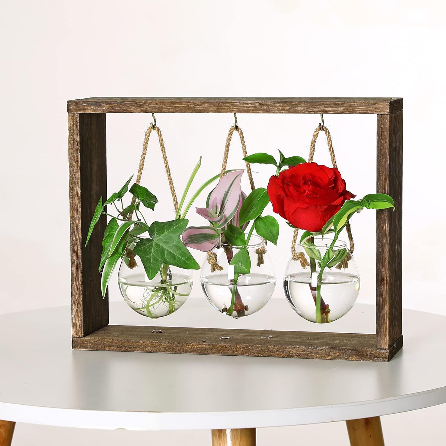 Jeegard Plant Terrarium with Wooden Stand, Desktop Air
