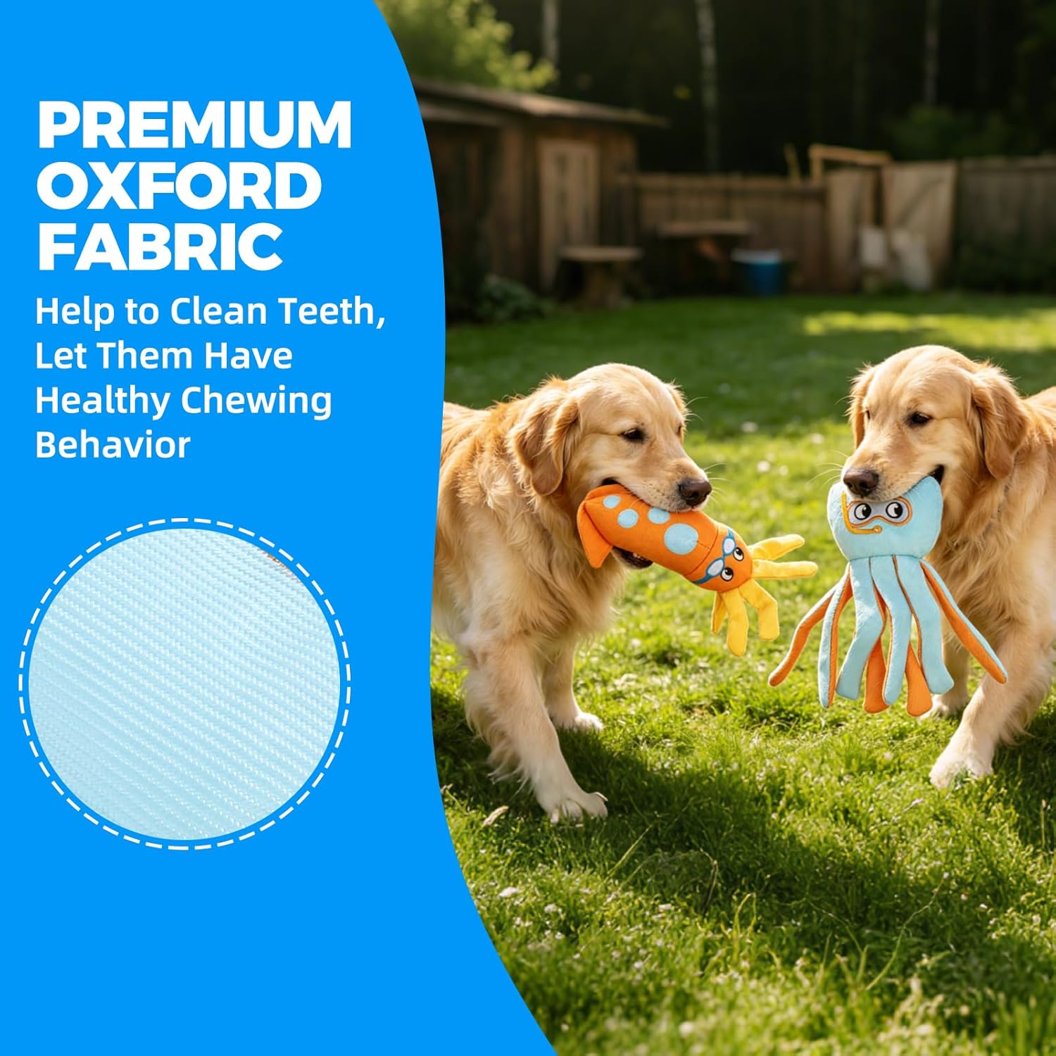 Mihachi Floating Dog Water Pool Toys 2 Pack for Swimming Pool, Interactive Crinkle Pet Puppy Chew Toys for Play and Training, Funny Dog Toy for Small Medium Large Breed, Octopus & Squid