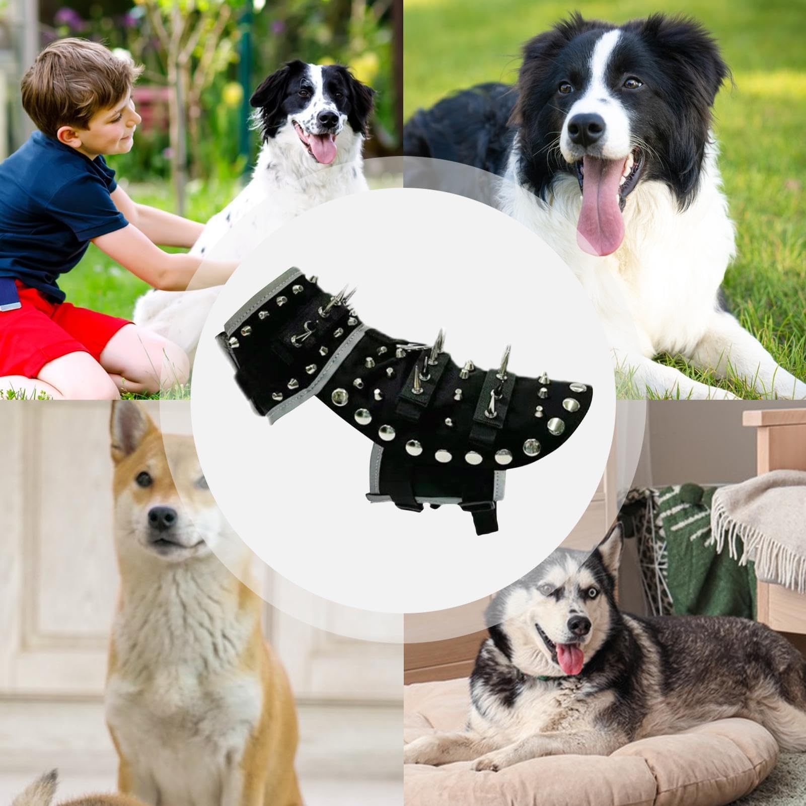 Chaleco con púas para Perros Chaleco Ajustable Reflectante Protección | Portátil Protección de su mascota contra ataques de coyotes y rapaces en actividades al aire libre, t