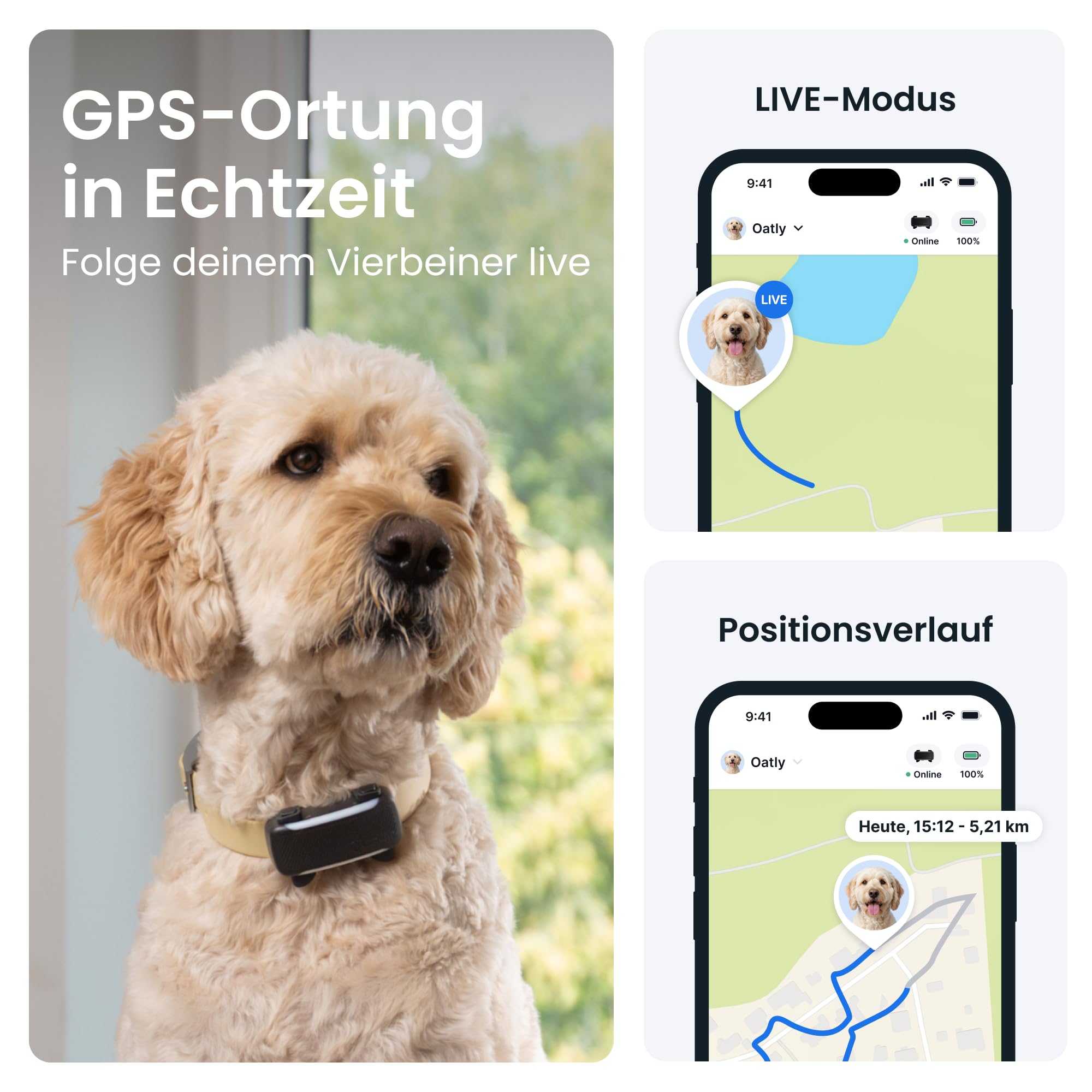 Tractive XL Smarter Hunde GPS Tracker | Modell 2026 | Live-GPS-Ortung | Weglaufalarm & Gesundheitswarnungen | Überwachung der Vitalwerte | Lange Akkulaufzeit | Empfohlen von Martin Rütter (Schwarz)