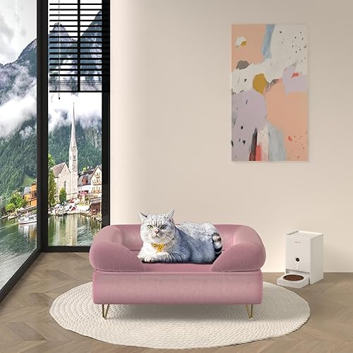 Miniatura 4 de Sofá para perros pequeños, sofás y sillas para perros, camas para perros con tela de terciopelo suave, cama para gatos con marco de madera, sofá