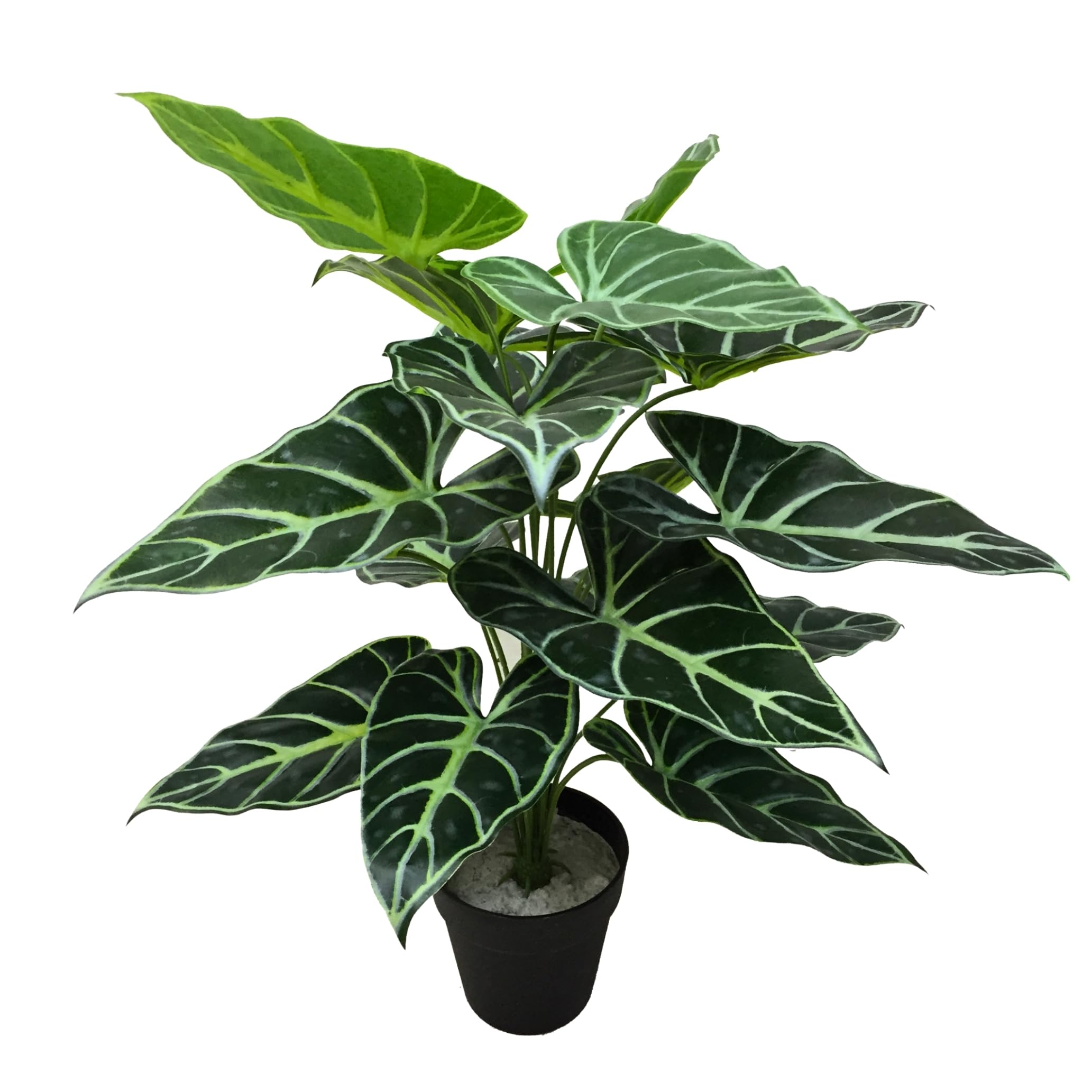 Lacers SMARAGDLINE Künstliche Taro im Topf 2er Set - 60cm Kunstpflanze Dekoration wie echt wirkende Blätter/Real Touch - Kunstblume für Ihr Zuhause, Balkon und Büro