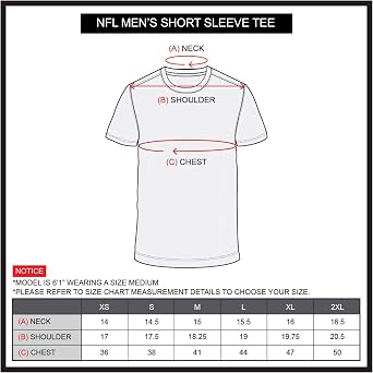 NFLチームロゴメンズTシャツVintage Ombre半袖Tシャツ、グレー S グレイ