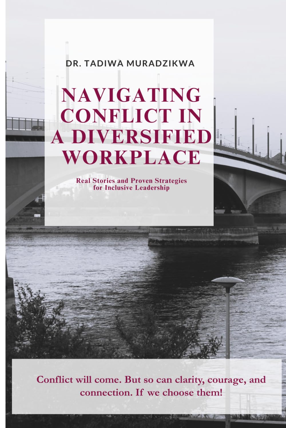 Navigating Conflict in a Diversified Workplace Guide - Real Stories and Proven Strategies for Inclusive Leadership