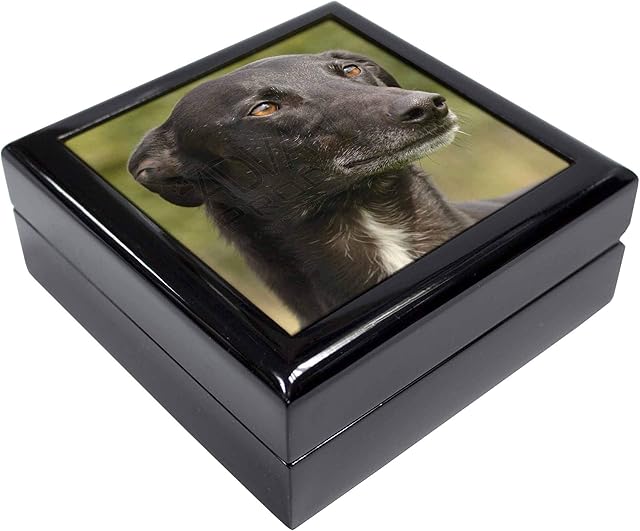 Advanta Group Greyhound Dog Keepsake/Jewellery Box
