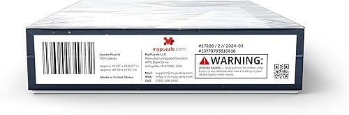 Miniatura 9 de Art Deco Hotels On Ocean Drive, Miami Beach, Florida, Estados Unidos - Rompecabezas prémium de 1000 piezas para adultos