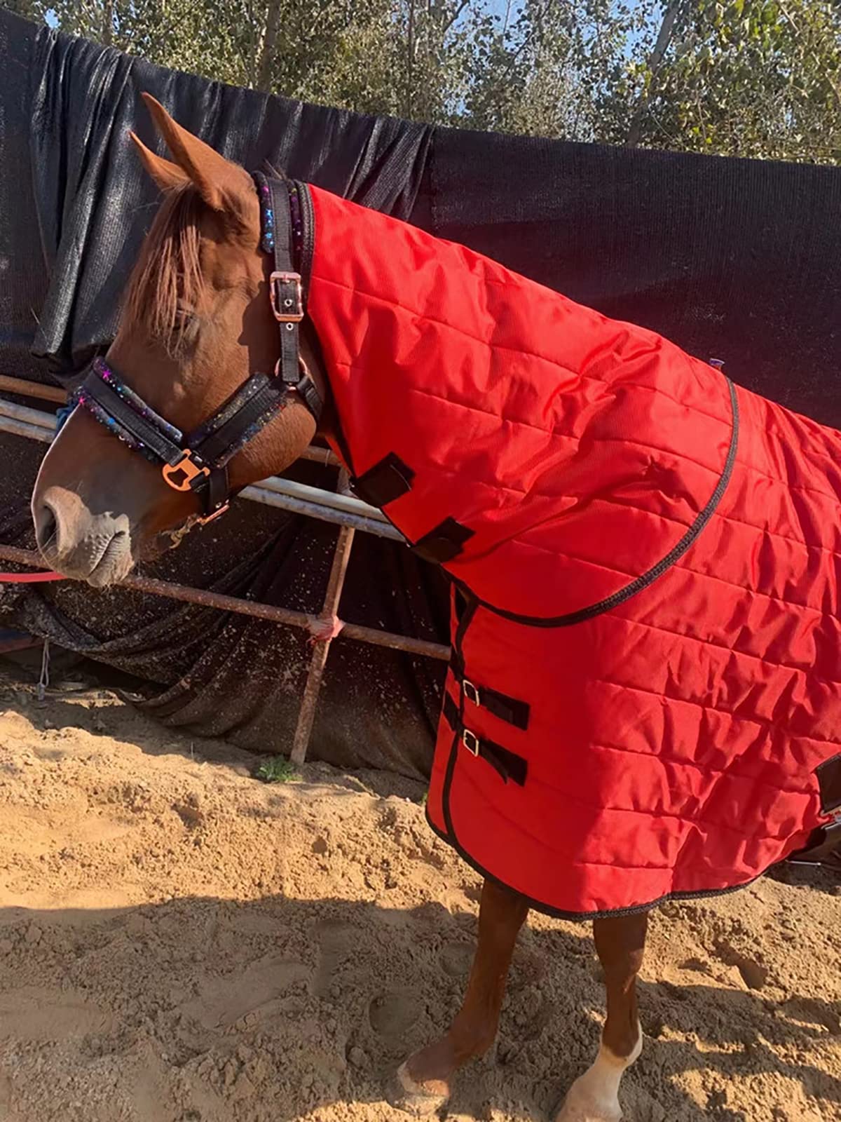 Manta de Invierno Heavy para Caballo Manta de Caballo de Invierno Suave Cómoda, Ideal para la Cuadra, Manta para Todo el año para Exteriores Equipo Ecuestre(Size:145-160CM)