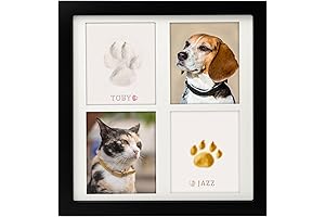 MYPAWLETS DIY Pet Keepsake Kit