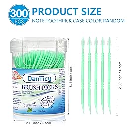 DanTicy Brushpicks Interdental Toothpicks,Soft Bristle Dental Floss Picks Toothpicks,Helps Removes Plaque and Debris Between Your Teeth, Mint, 300PCS (Pack of 1)