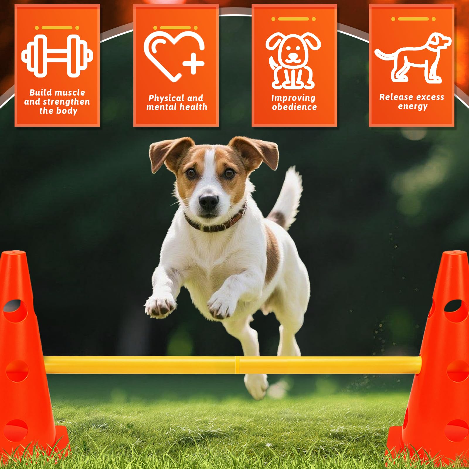 Agility Set per cani ostacoli per bambini, ostacoli per bambini, cani, parcour per saltare, cane Cavaletti, 8 coni 32 cm di altezza + 8 aste lunghe 80 cm, per esercizi di allenamento