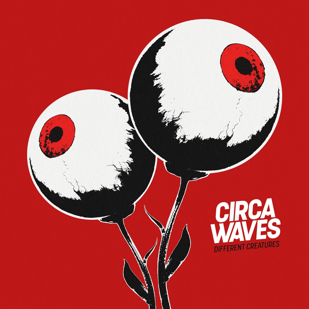 Circa Waves Different Creatures