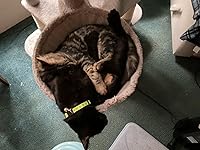 Review Image by Miss Chevious