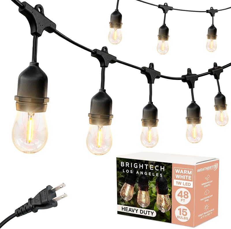 Ambience Pro LED String Lights - 48 Ft Commercial Grade Patio Lights Outdoor Waterproof - Heavy Duty Porch String Lights for Backyard, Christmas - Dimmable Vintage Edison 1W 15 Bulbs,