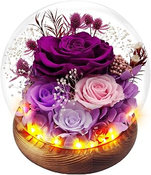 Preserved Rose Forever Flowers in Glass Dome Gifts for Women, Long-Lasting Real Flowers,Red Eternal Rose Birthday Gifts for Mom Valentines Day Anniversary for Wife Girlfriend
