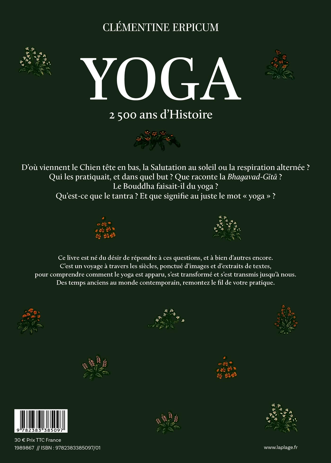 Yoga: 2 500 ans d'histoire