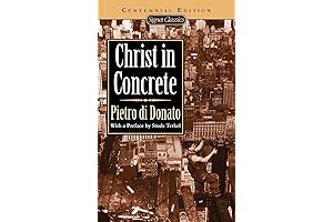 Christ in Concrete: A Novel of Power and Obsession