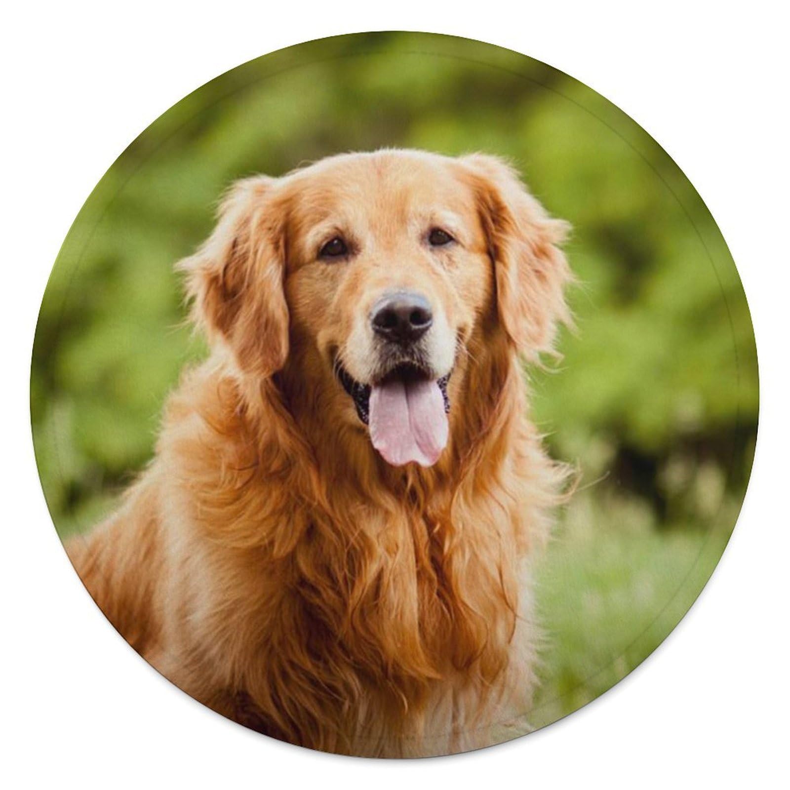 Couverture de canape Golden Retriever plaid rond pliable contre les courants d'air