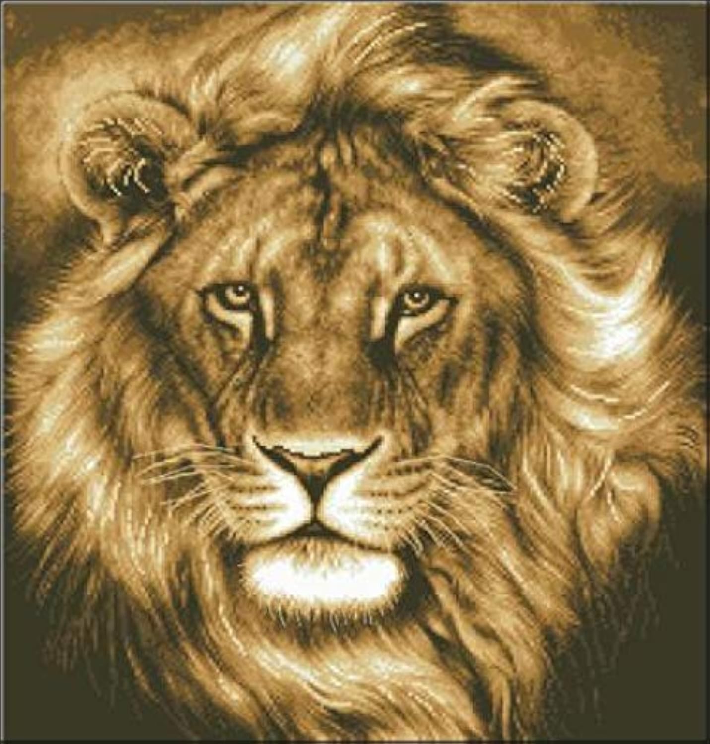 Kit Broderie Point de Croix Lion Majestueux en Fil de Coton Premium 50x50 cm - 8