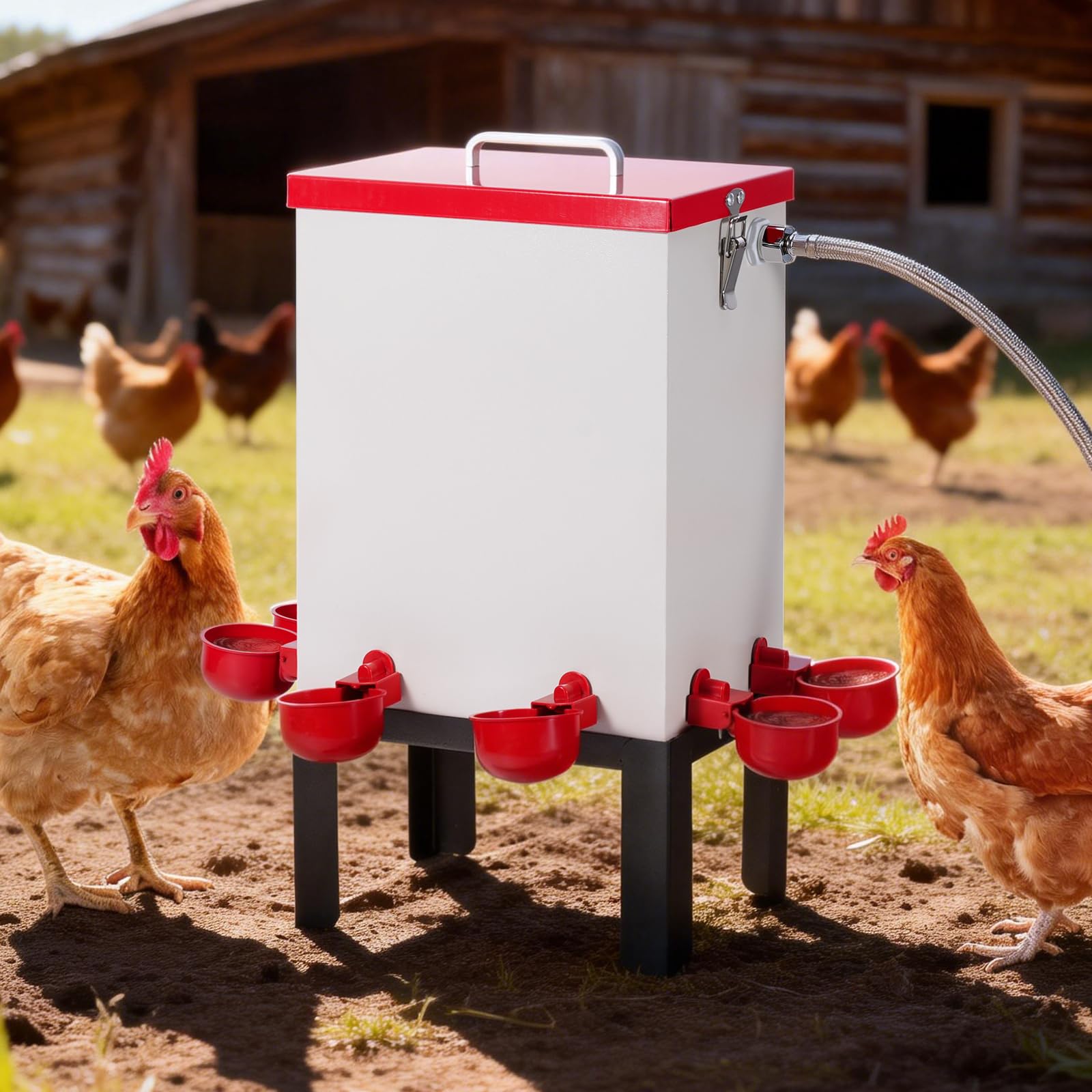 Bebedero automático para pollo de 12 litros con 6 vasos para bebedero automático para pollos, bebedero automático para pollos de acero inoxidable y pollitos para pollo, pato, ganso, pavo