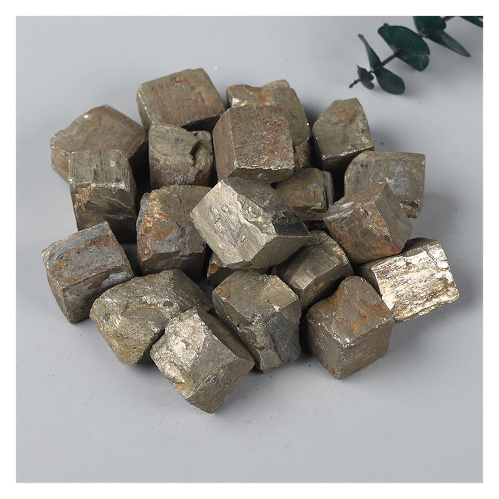 Tioneer Black Stainless Steel Raccoon Oval Head Key Charm Pendant Necklace