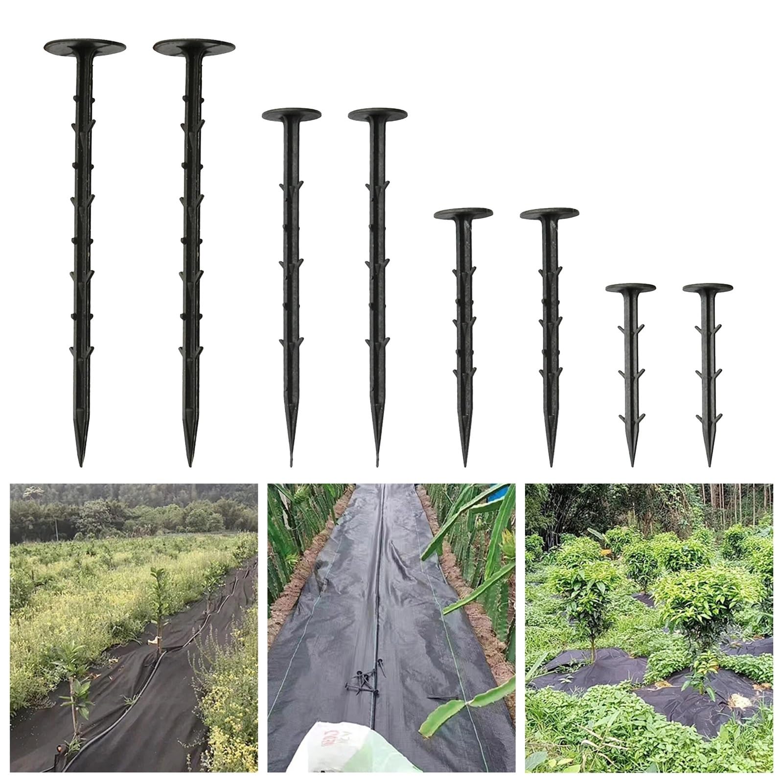 100 Pezzi di picchetti da Giardino in plastica, ancoraggi for Bordi paesaggistici for Il Fissaggio Chiodi antiruggine for Giardinaggio, Terra per Fissaggio(25cm)