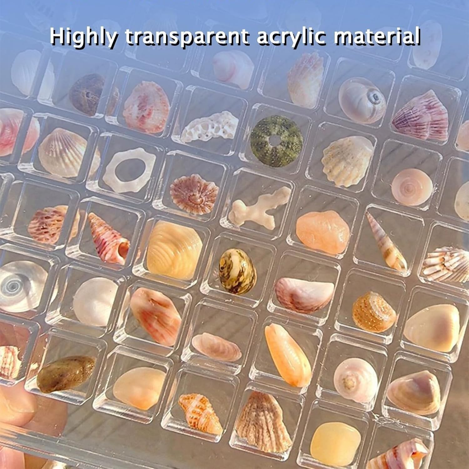 Acrylic Magnetic Seashell Display Box, 36/64/100 Grids Clear Storage Box, Multifunctional Jewelry Display Organizer Case (36Grids)