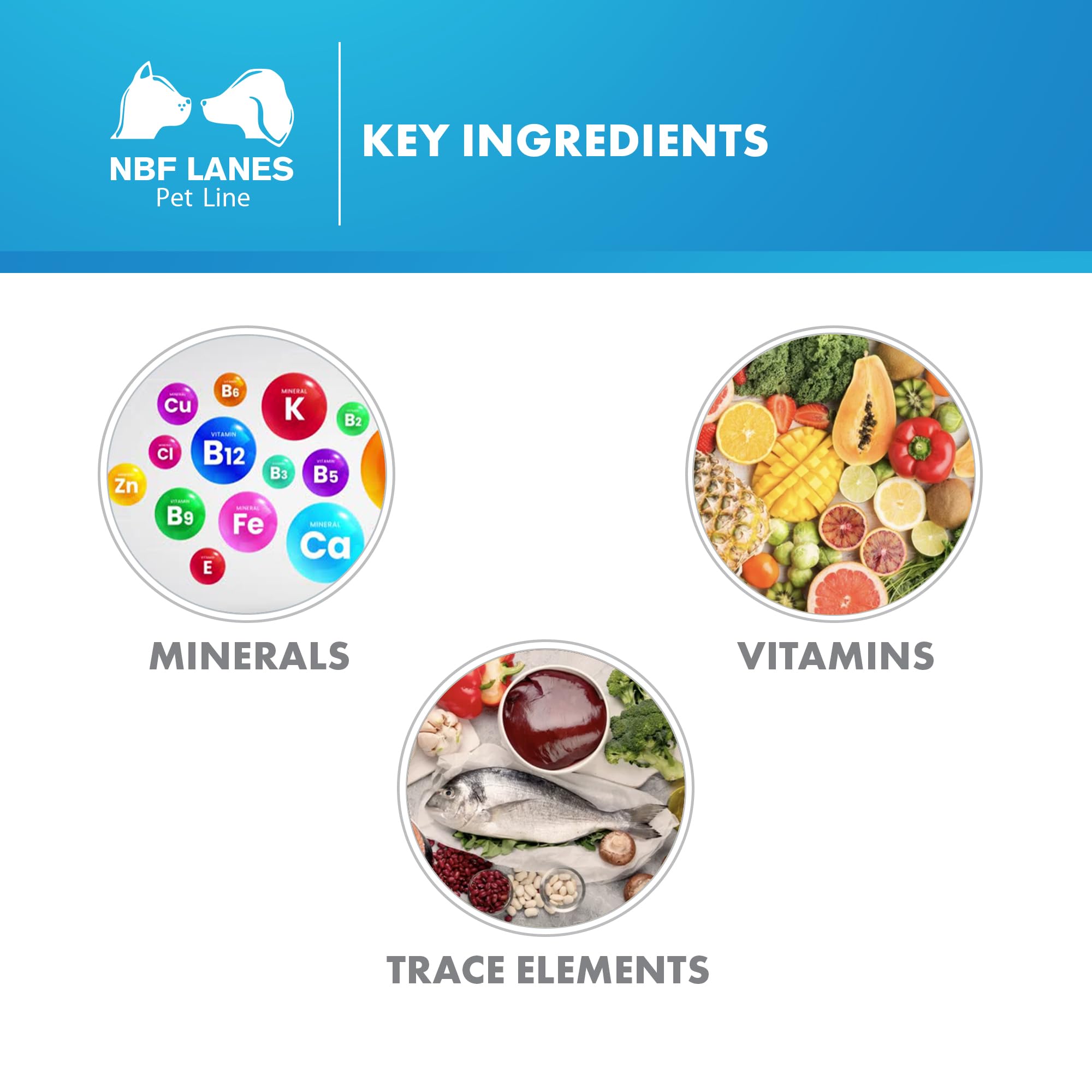NBF Lanes | Carevit Dog Chien, 100 Comprimés Divisibles, Apport Multi-Minéral et Multi-Vitaminique en Cas de Croissance, Grossesse et Allaitement, Engagement Sportif, Chiens âgés