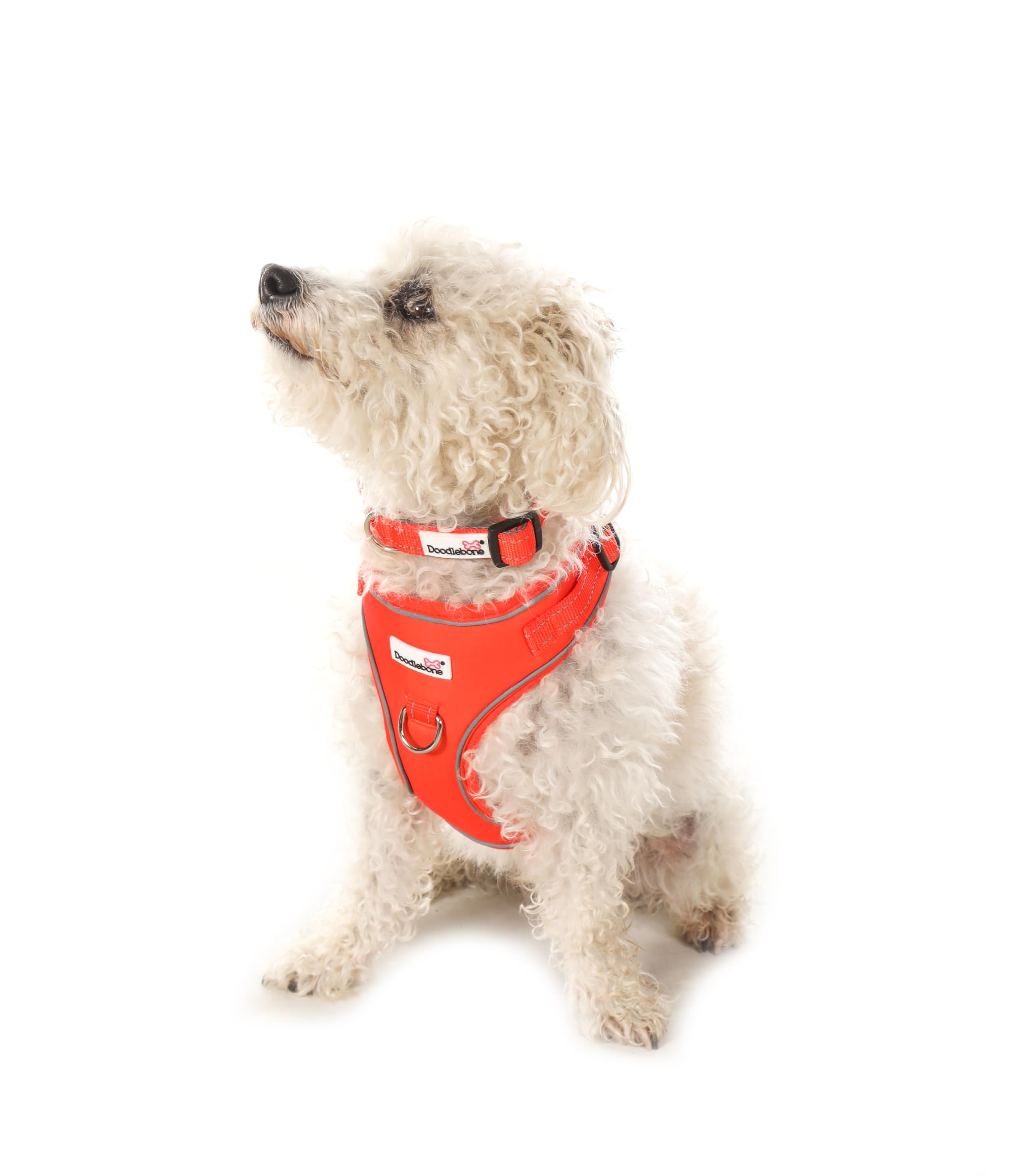 Doodlebone, Adjustable Airmesh Harness, Over Head Dog Harness with Adjustable Neck and Chest, Dual D Rings - Image 2