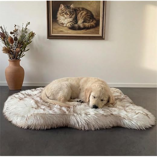 IHAPPYDOG Luxury Faux Fur Orthopedic Dog Bed, Memory Foam Dog Bed​ for​ Small, Medium, Large and XL Pets, Fluffy Pet Rug with Waterproof ​and ​Washable Soft Cover, White (40x25)