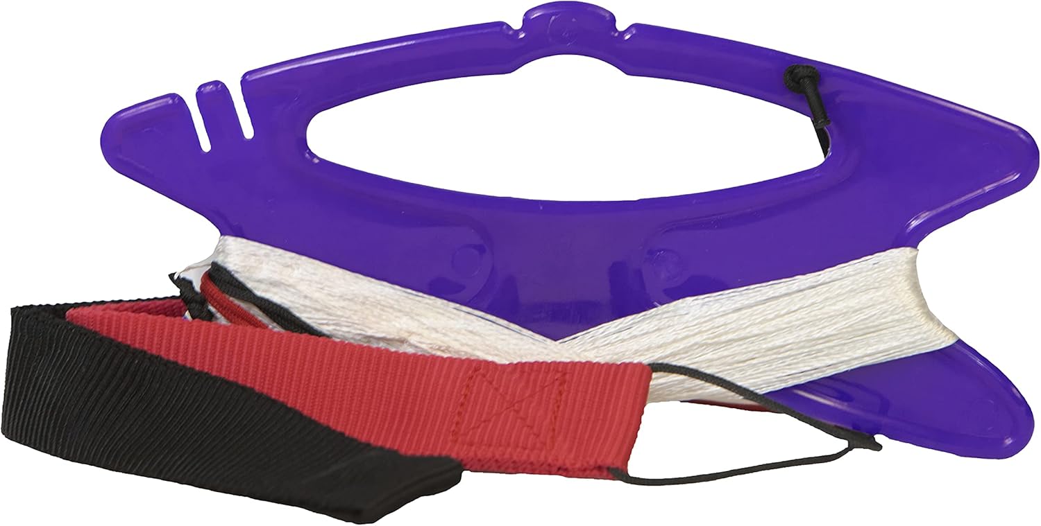 Flying Wings Alpha+ Stunt Kites - Dyneema Lines Included (Teal)