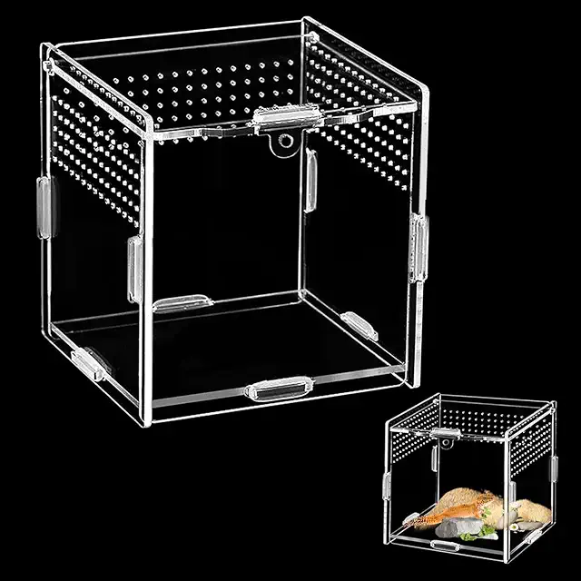 10x10x10cm Mini Terrarium for Jumping Spiders, Reptiles & Snails