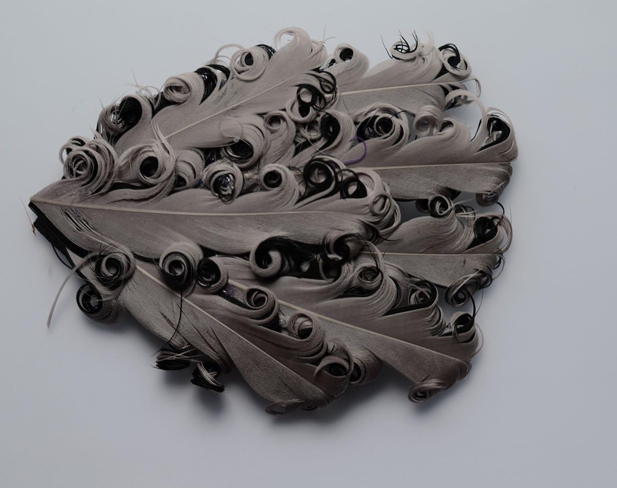Lyracces Lots 6pcs Artificial Curly Goose Nagorie Feather Pad Plume Appliques Trim for Headbands (Red Black)