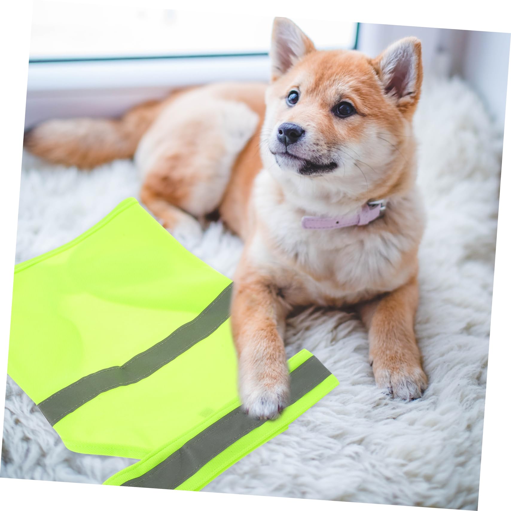 Gilet Riflettente Per Cani - Giacca Alta Visibilit&agrave; Per Passeggiate E Corsa