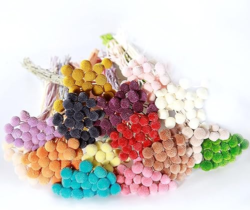 Vista 6 de 20 unidades de flores secas naturales, bolas de Billy amarillas, flores secas de 16 pulgadas, ramo de arreglos de flores para jarrones bohemios