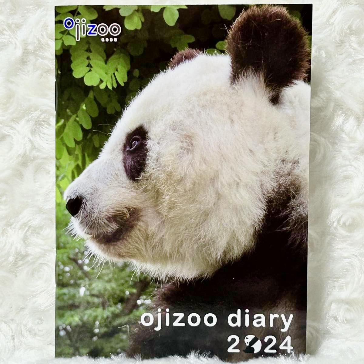 Amazon.co.jp: 王子動物園タンタン ポストカード（）＆2024年