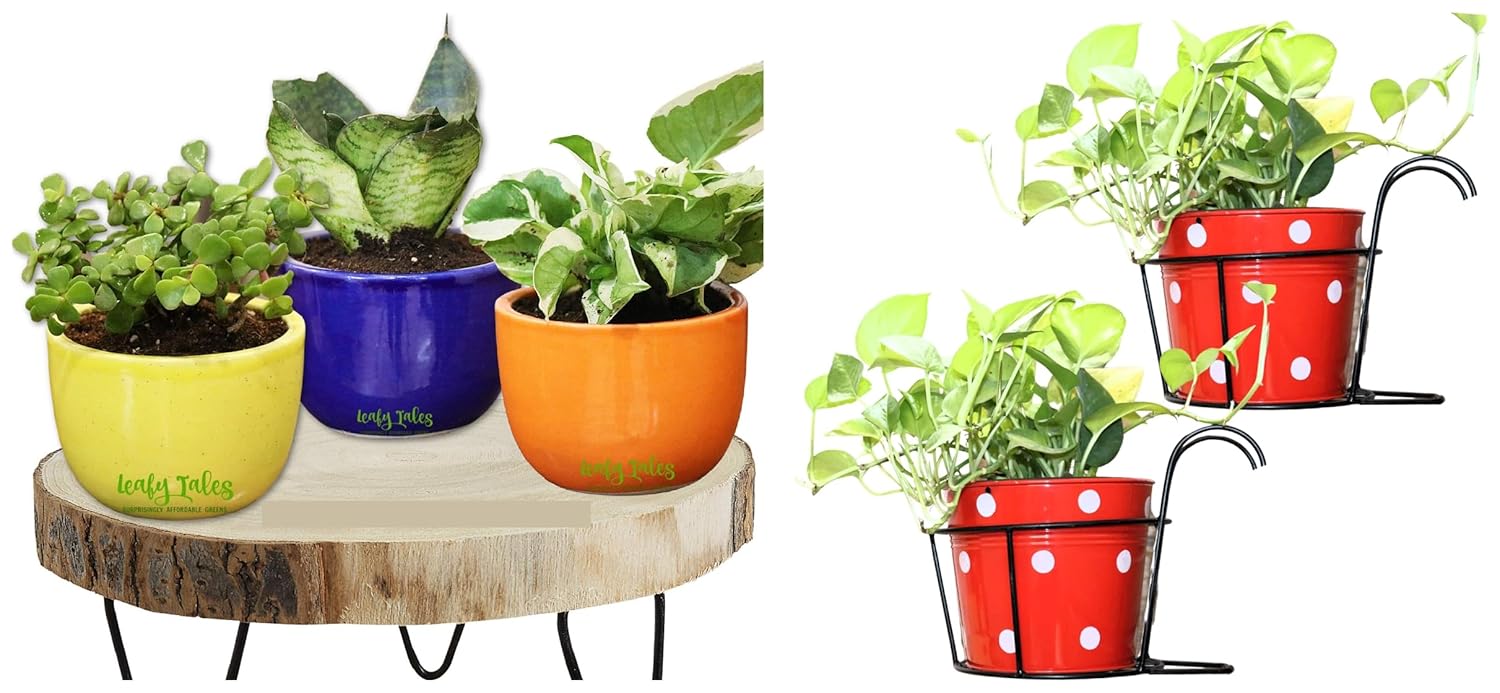 Leafy Tales Hanging Flower Pot Holder Railing Potted Plant Stand for Home Balcony Décor, Black, Set of 2 Urn Ceramic Pot, Multicolour, 3 Inch, 3 Pots, Urn Set 3 (Urn Set 3) Leafy Tales Hanging Flower Pot Holder Railing Potted Plant Stand for Home Balcony Décor, Black, Set of 2 Urn Ceramic Pot, Multicolour, 3 Inch, 3 Pots, Urn Set 3 (Urn Set 3)