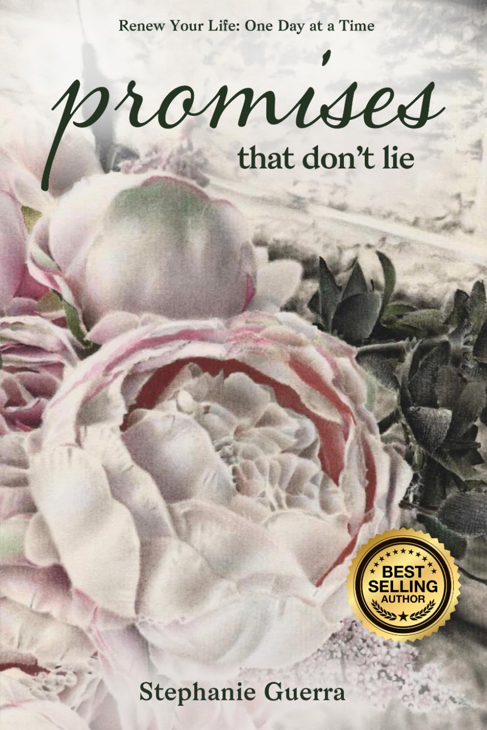 Promises That Don't Lie: Renew Your Life: One Day at a Time