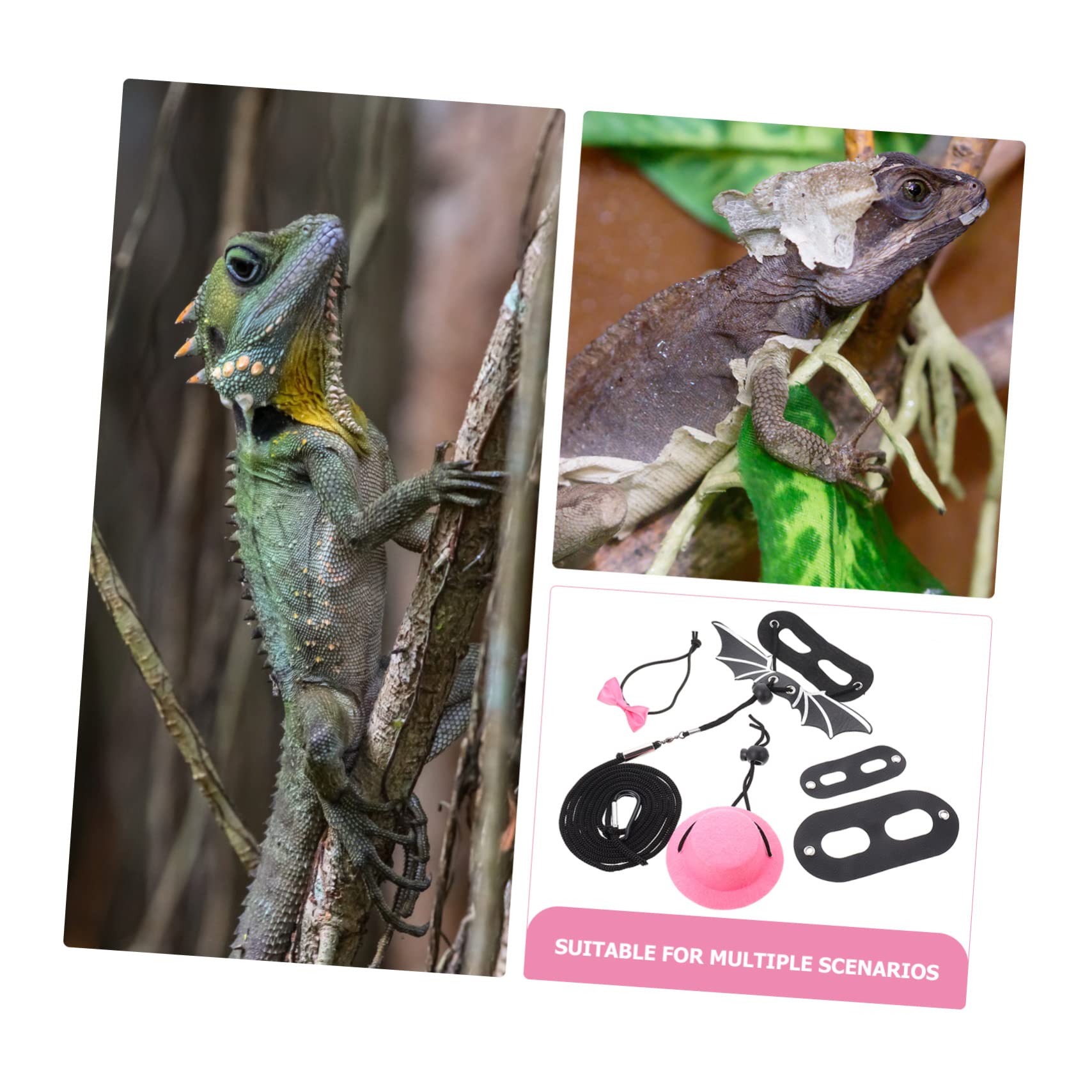 Yardwe 4sätze Lizard Mit Verstellbarem Gurt Und Hut Bartagamen Für Outdoor- Pinke Geschenkoption Für Reptilienliebhaber
