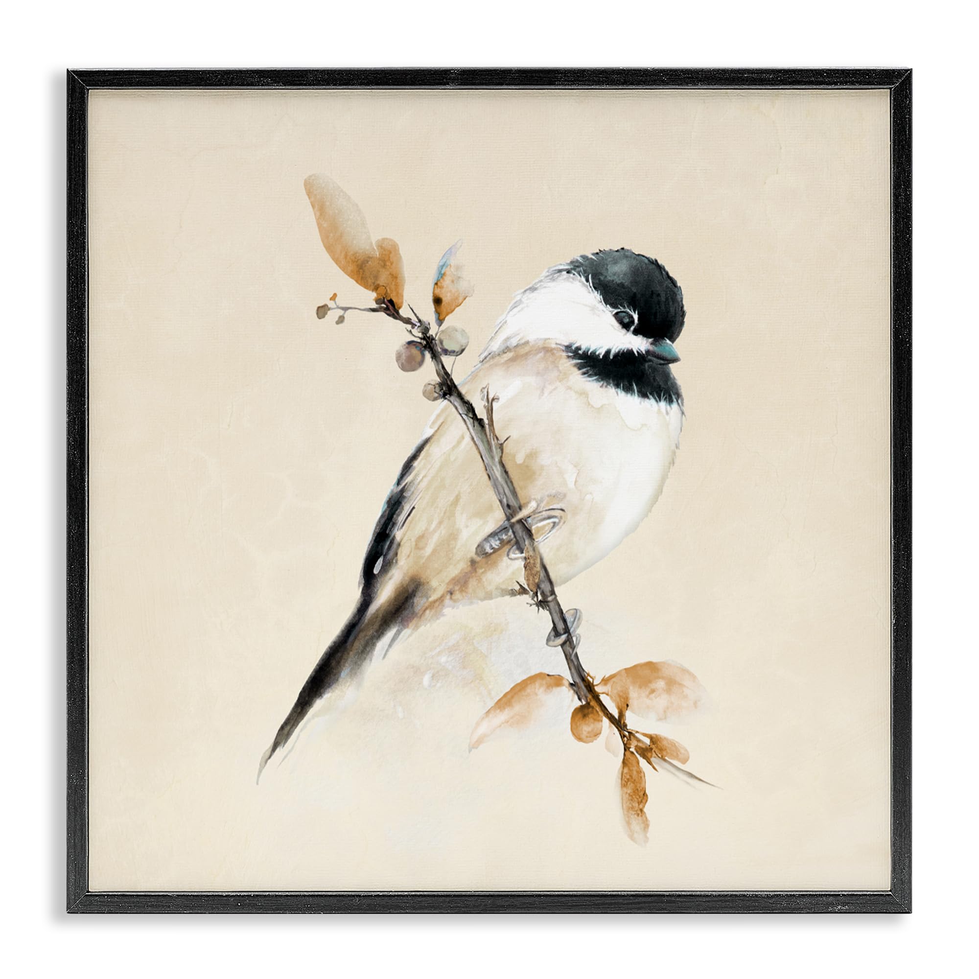 Stupell Industries 'Muted Watercolor Chickadee', Framed Giclee Art, Black, 24 x 24 Inches, Easy to Hang and Sturdy, Made in USA, by Diannart
